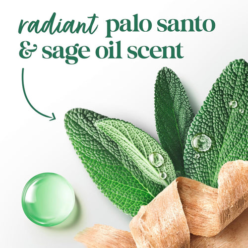Dove Solid Stick Palo Santo & Sage for 72-Hour Sweat and Odor Protection Alcohol Free 2.6 oz