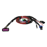 Sniper 2 EFI PDM Main Harness