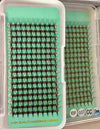 10D - 0.07mm Slim/Sharp Root Medium Stem Premade Fans 16 lines  160 fans NO-Logo 【Sale】