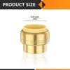 1/2" Push Fit Plug (End Stop) Plumbingsell