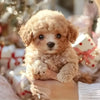 Robot Dog – Realistic Walking, Barking & Tail-Wagging Puppy