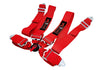 SPDZ1 X BallFix 4 Point 3" Seat Belt Safety Harness
