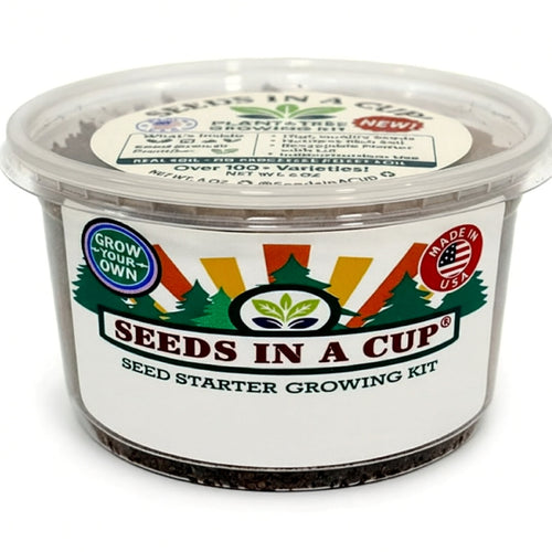 Dill Grow Kit | Grow Fresh Dill from Seed | Seeds In A Cup®