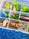 Pond Life Cycle Sensory Kit And Water Play