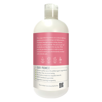 ARI Probiotic Flea & Tick Shampoo