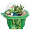 Alex 'The Soothing' Aloe Micro Dome Terrarium