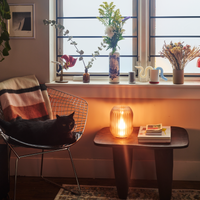 Allium Lamp