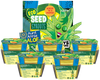 Eco Seed Sprouts Aunt Annie Aloe - Multipack of 5