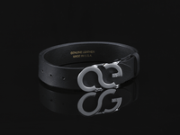 American Equus Signature "AE" Logo Belt Buckle