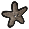 Baby Sophie the Starfish