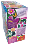 Bountiful Butterfly Garden Biosphere Terrarium
