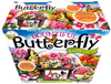 Bountiful Butterfly Garden Biosphere Terrarium