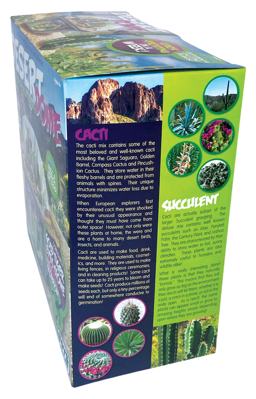 Desert Dome Biosphere Terrarium