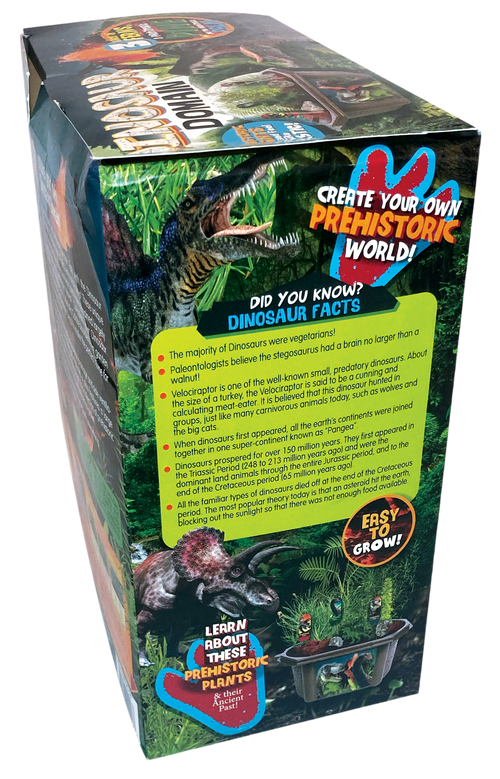 Dinosaur Domain Biosphere Terrarium