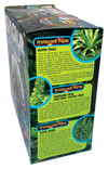 Dinosaur Domain Biosphere Terrarium