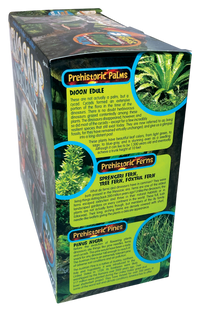 Dinosaur Domain Biosphere Terrarium