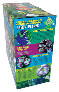 Fanciful Fairy Garden Biosphere Terrarium