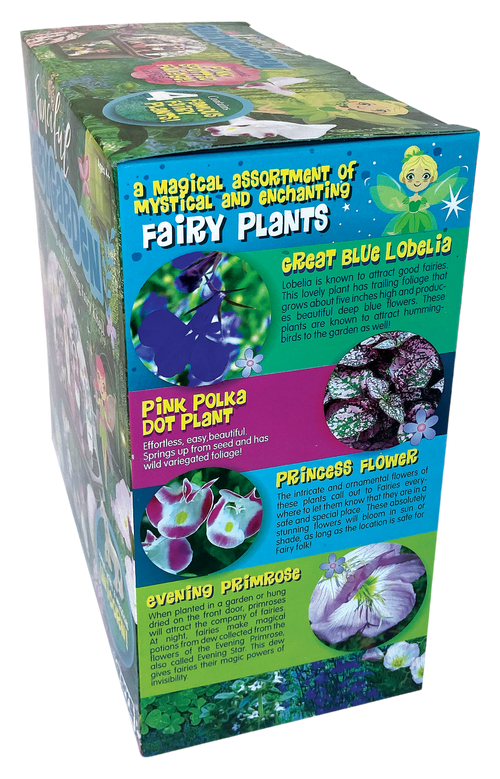 Fanciful Fairy Garden Biosphere Terrarium