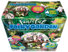 Fanciful Fairy Garden Biosphere Terrarium