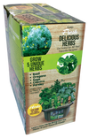 Culinary Herb Collection Biosphere Terrarium
