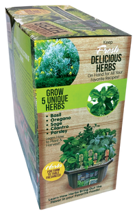 Culinary Herb Collection Biosphere Terrarium
