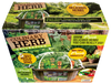 Culinary Herb Collection Biosphere Terrarium