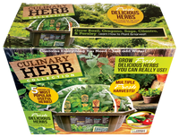 Culinary Herb Collection Biosphere Terrarium
