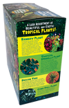 Tropical Rainforest Jungle Biosphere Terrarium