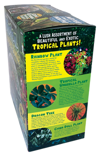 Tropical Rainforest Jungle Biosphere Terrarium