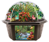 Tropical Rainforest Jungle Biosphere Terrarium