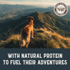 Bison & Fish Jerky Dog Treats