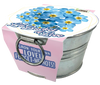 Flowering Tin Garden Variety Pack - 1 Each of 3 Varieties