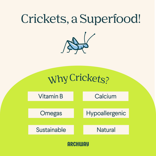 Peanut Butter Cricket Better Biscuit Arch Pet Food