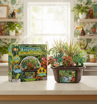 Tropical Rainforest Jungle Biosphere Terrarium