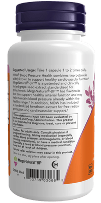 Blood Pressure Health