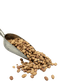 1 lb