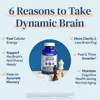 Stonehenge Health Dynamic Brain Supplement – Memory, Focus Mental Clarity | 60 Capsules