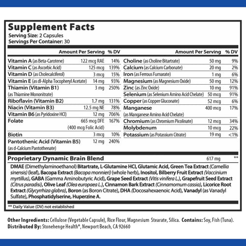 Stonehenge Health Dynamic Brain Supplement – Memory, Focus Mental Clarity | 60 Capsules
