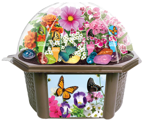 Bountiful Butterfly Garden Biosphere Terrarium