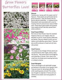 Bountiful Butterfly Garden Biosphere Terrarium