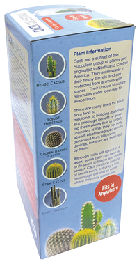 Cacti Collection Glass Terrarium Seed Starting Kit