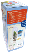 Cacti Collection Glass Terrarium Seed Starting Kit