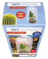 Cacti Collection Glass Terrarium Seed Starting Kit