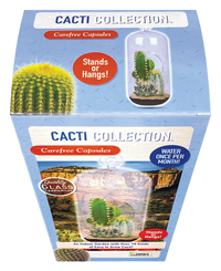 Cacti Collection Glass Terrarium Seed Starting Kit