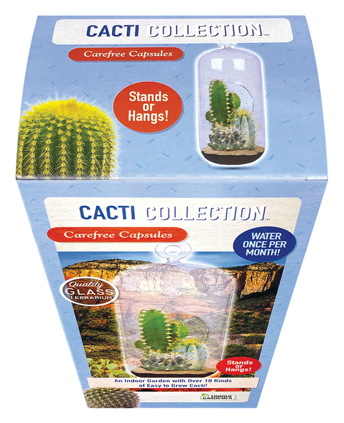 Cacti Collection Glass Terrarium Seed Starting Kit