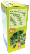 Perfect Palms Glass Terrarium Seed Starting Kit