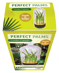 Perfect Palms Glass Terrarium Seed Starting Kit