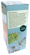Stunning Sedum Glass Terrarium Seed Starting Kit