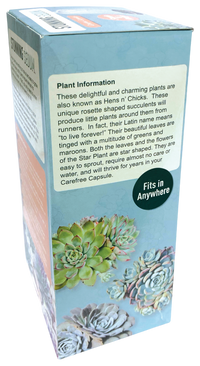 Stunning Sedum Glass Terrarium Seed Starting Kit