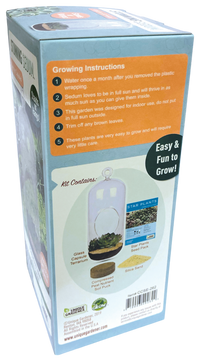 Stunning Sedum Glass Terrarium Seed Starting Kit